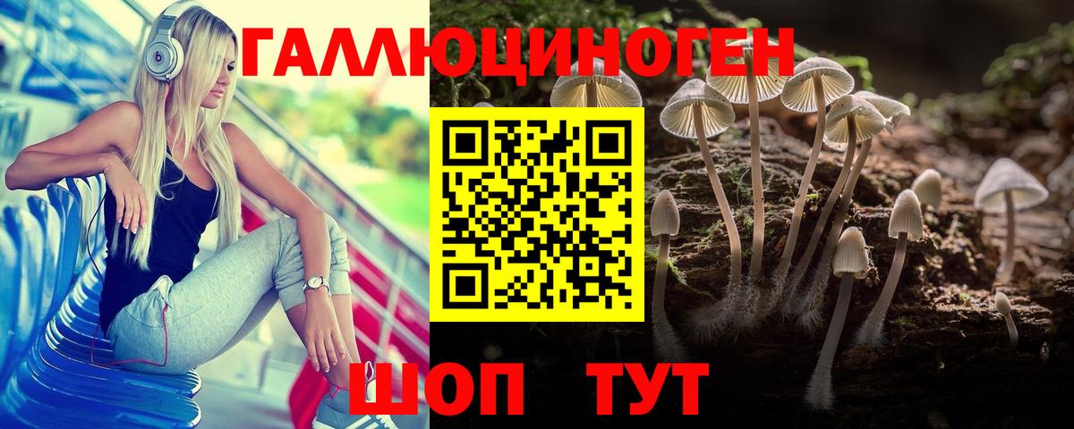 Кингисепп  Галлюциногенные грибы ЛСД  Вход с VPN 